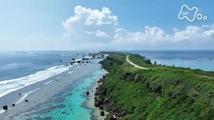 サンゴが生んだ宮古ブルー