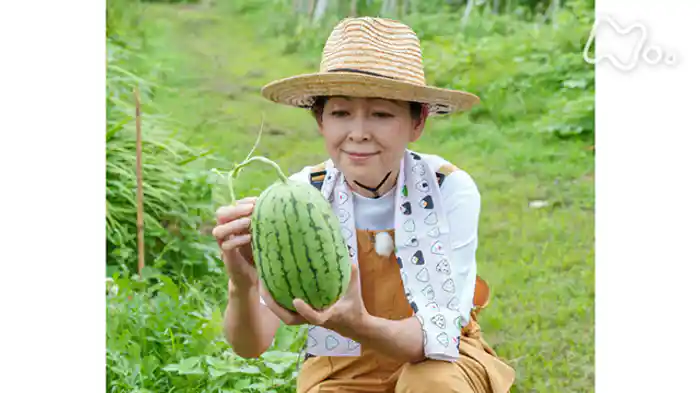 ２０２３夏秋
