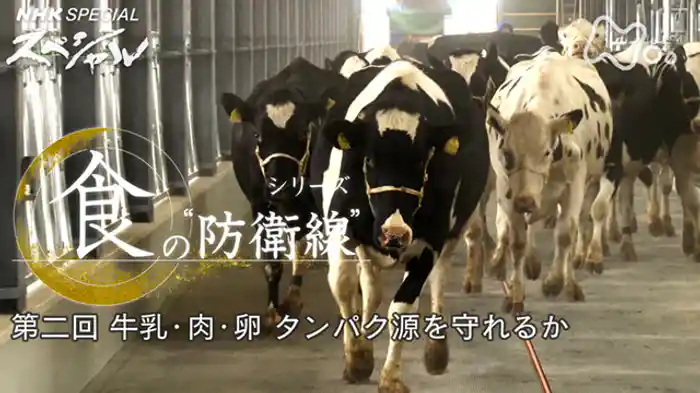 シリーズ 食の“防衛線” 第二回 牛乳・肉・卵 タンパク源を守れるか