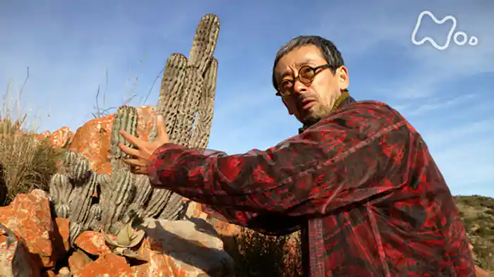 滝藤賢一が行く!南アフリカ珍奇植物紀行