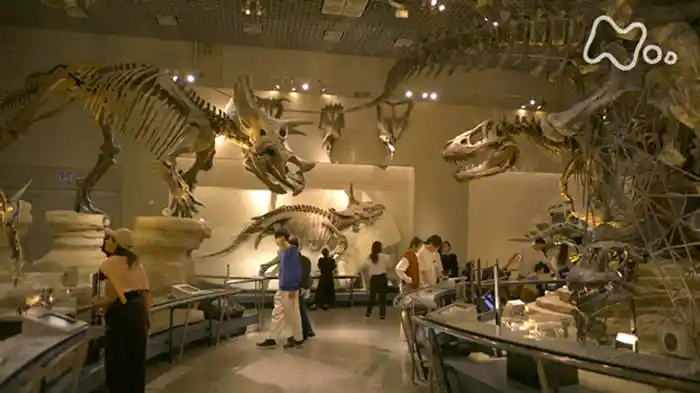 2時間でまわる国立科学博物館