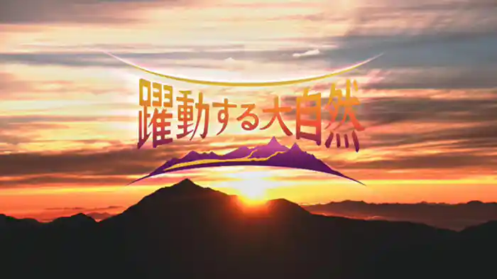 イナガキヤスト　“天空の水鏡”を撮る