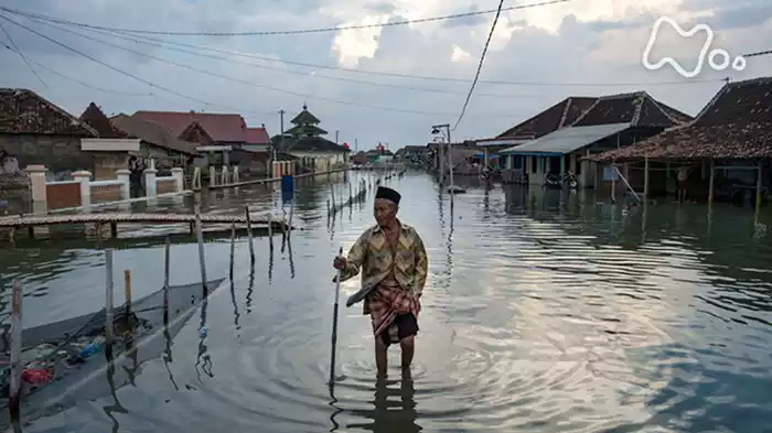 「沈みゆく村～インドネシア　海面上昇の恐怖～」