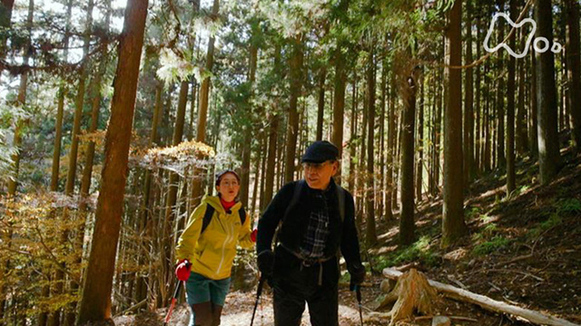 にっぽん百低山 #59 「武甲山（ぶこうさん）・埼玉」(TV番組・エンタメ