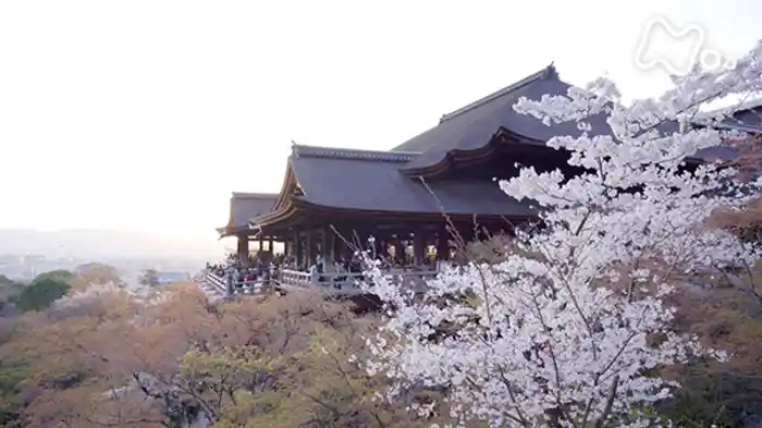 2時間でまわる清水寺