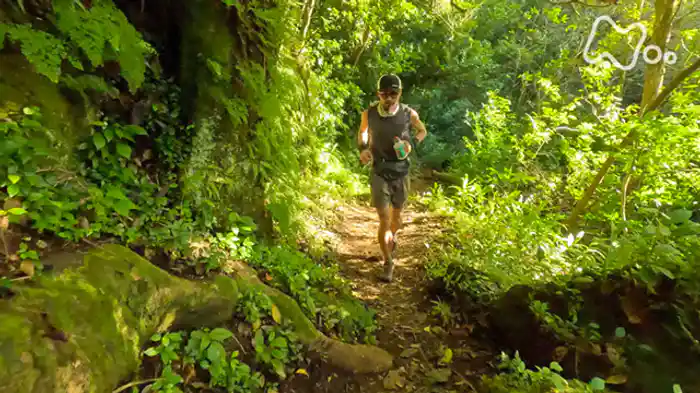 ハワイ　傷だらけの１６０ｋｍ　己のために　あの人のために