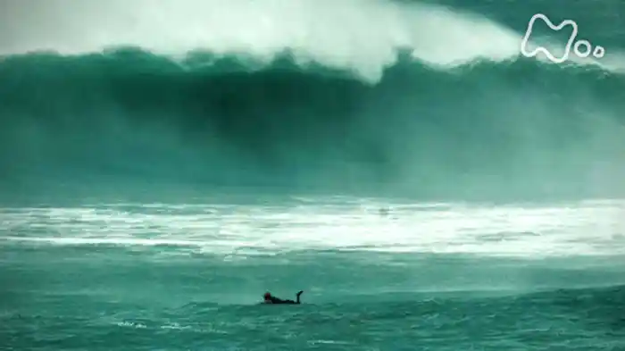 伝説の大波と巨大魚を狩れ