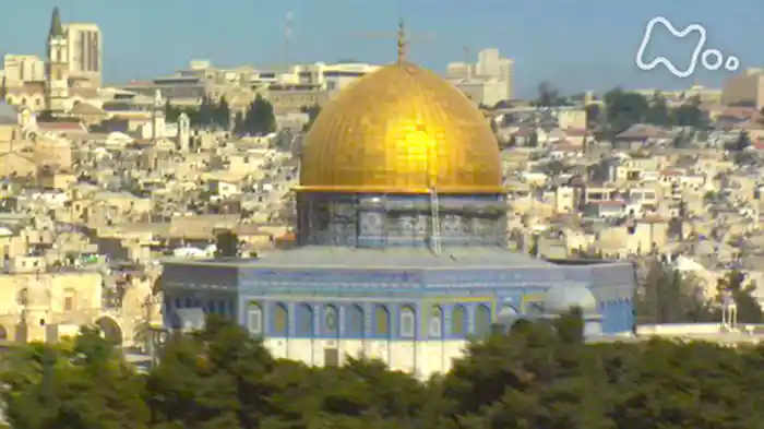 ドキュメント　エルサレム　聖地での戦いはなぜ始まったのか