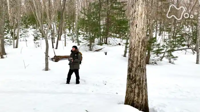 僕は小鳥になりたい