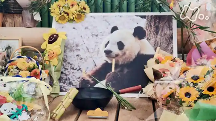 タンタン、ありがとう