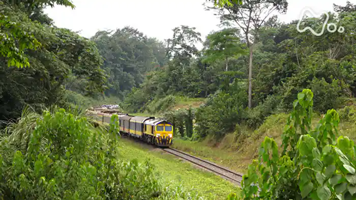 ~ガボン・未来へ走るジャングル列車~