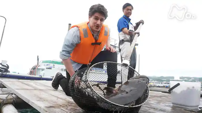 クエ