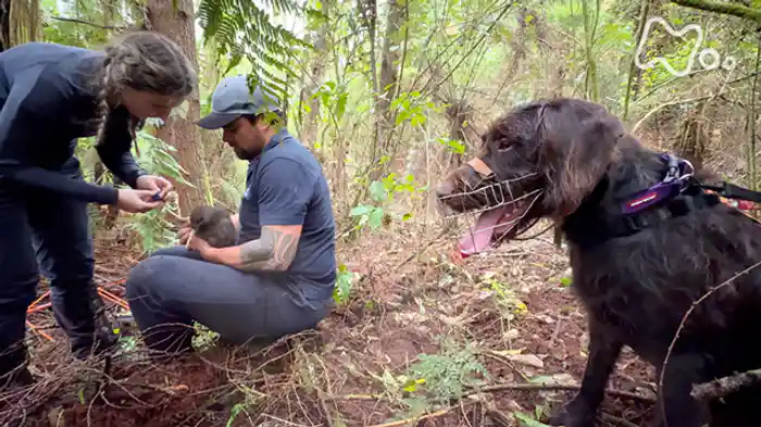 ~ニュージーランド編~