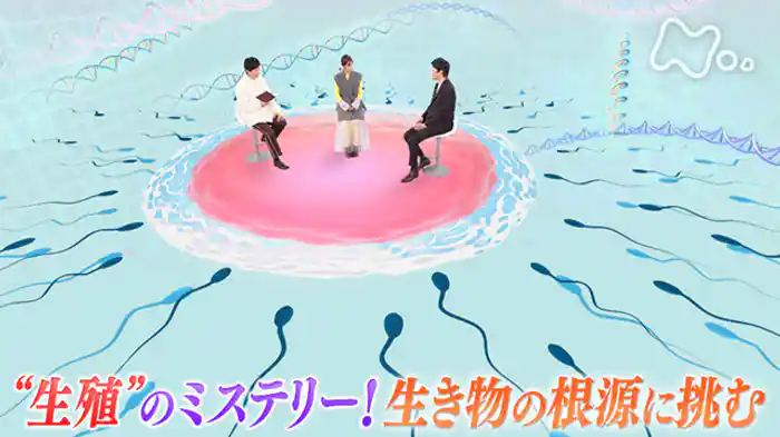 “生殖”のミステリー!生き物の根源に挑む