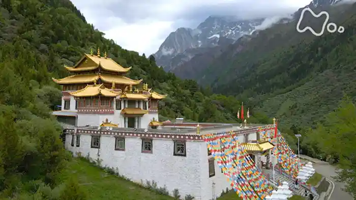 シャングリラを探して