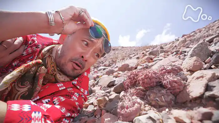 滝藤賢一が行く　南米　珍奇植物紀行