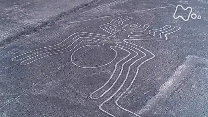 AIで謎に迫る! ナスカの地上絵