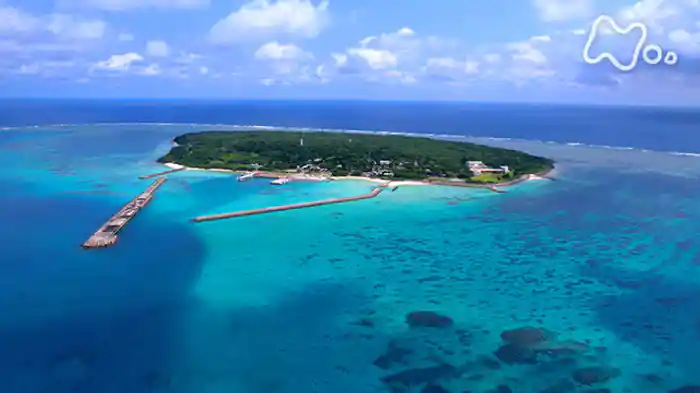 沖縄・小さな島に1000人!瀬戸内・天空の花畑が大変貌!