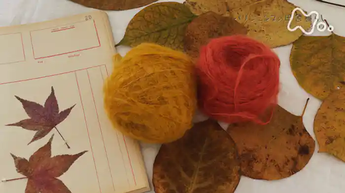 ぬくぬく　ぬくぬく　ほっと温まること　モヘア