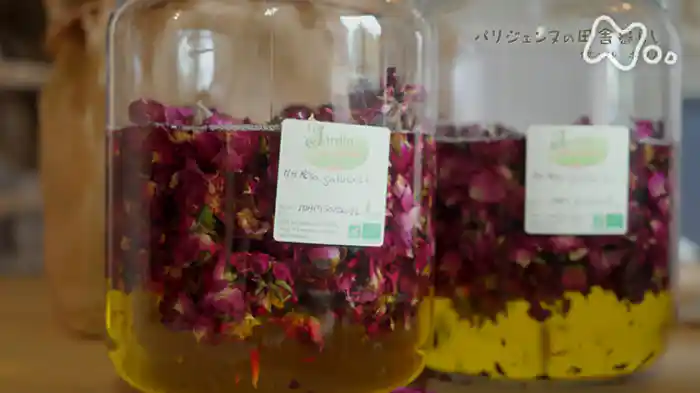 自然からのおくりもの