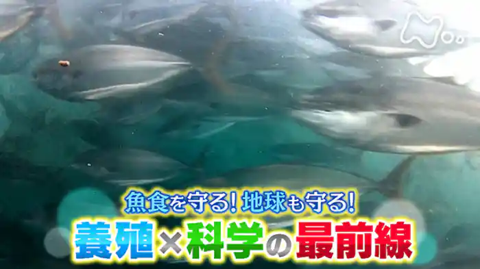 魚食を守る!地球も守る!“養殖×科学”の最前線