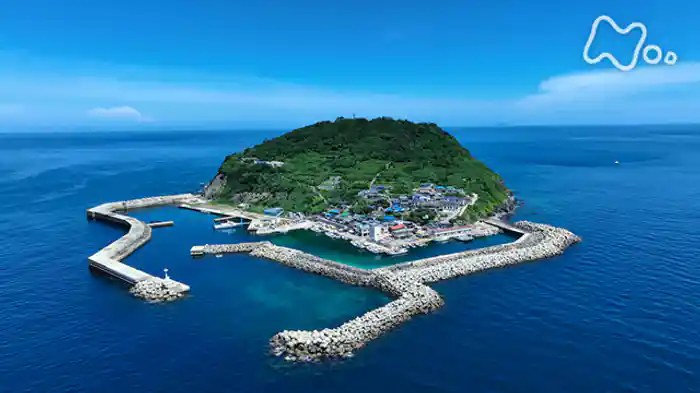 山口・珍鳥で島おこし&欠航率4割の玄界灘孤島