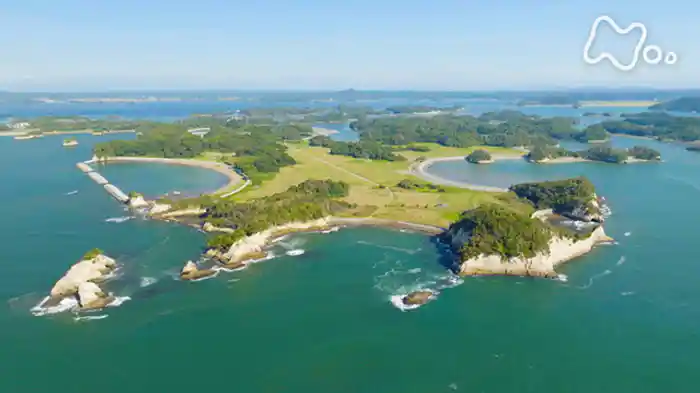 「国境対馬に七色の貝!?宮城“幻の米”驚き農法」