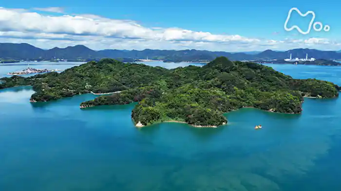 瀬戸内離島を動物占拠!長崎・漁師一筋から転身