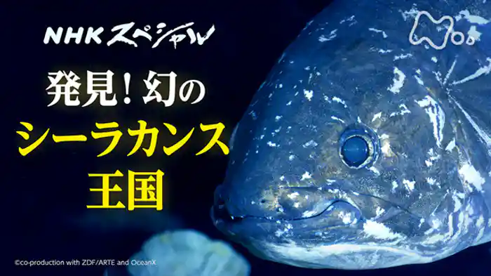 国際共同制作 ディープオーシャン 幻のシーラカンス王国