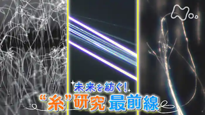 未来を紡ぐ!“糸”研究最前線