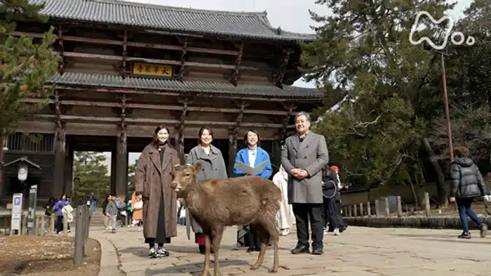 まなざしのヒント 日本建築入門in東大寺・新薬師寺