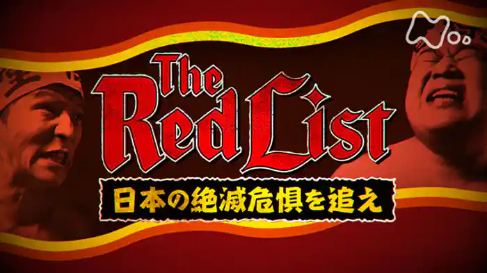 （２）謎多き裸詣りでモグライダー覚醒！川島明・朝日奈央・宇垣美里