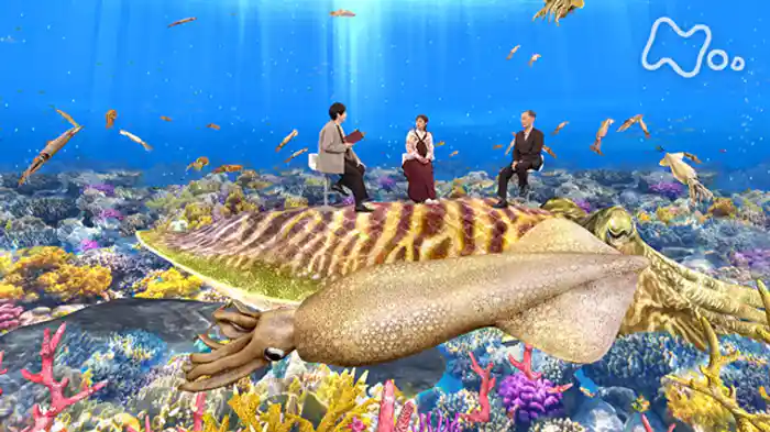 イカはいかに生きるか？驚異の生存戦略に迫る