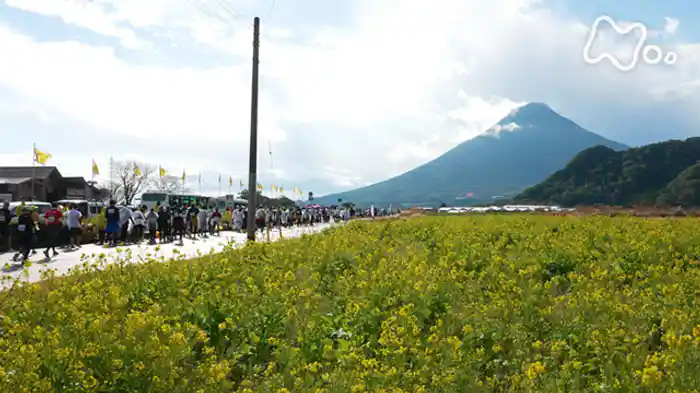 「鹿児島湾岸　早春ストーリー」
