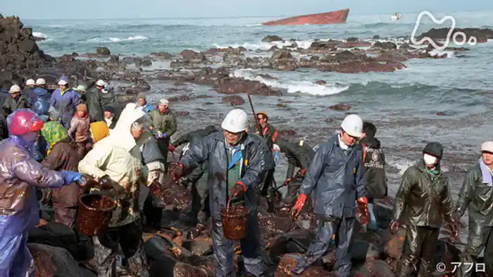 ナホトカ号重油流出 日本海を救った人々の力