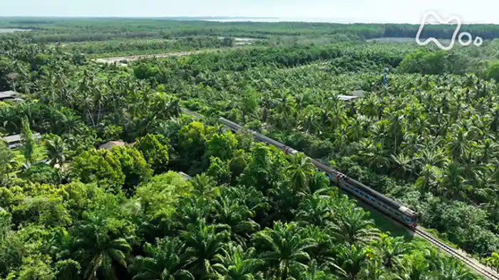 (5)タイ南部→バンコク 鉄路の先に家族の絆