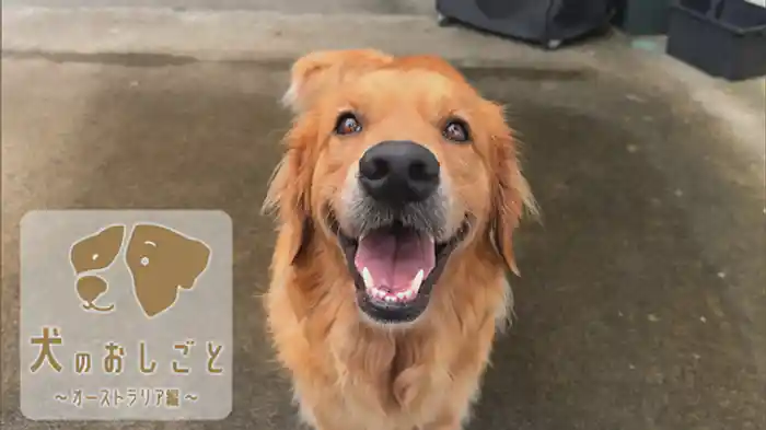 ~オーストラリア編~