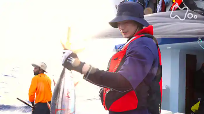 向井理が行く“カツオの国”モルディブ