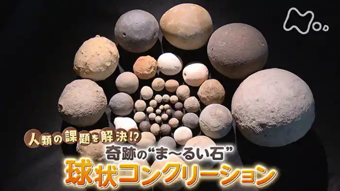 人類の課題を解決!?奇跡のま~るい石 球状コンクリーション