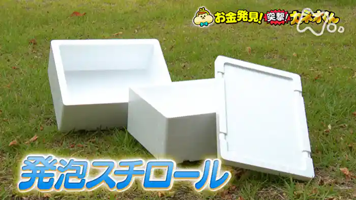 驚きのポテンシャル!発泡スチロールの秘密
