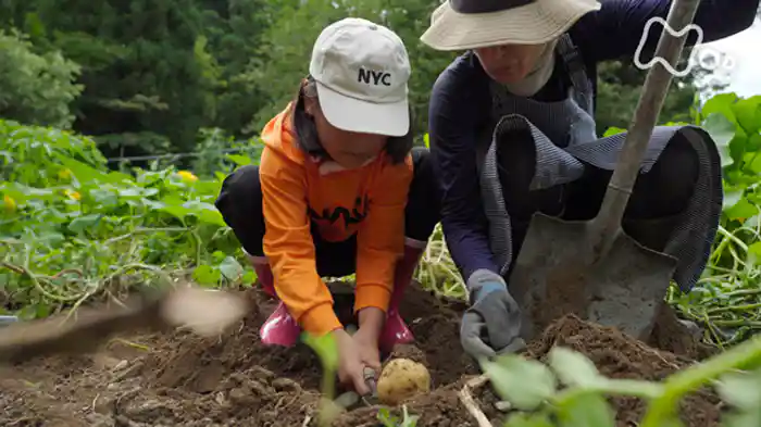 ｅｐｉｓｏｄｅ．２５　夏のごちそう