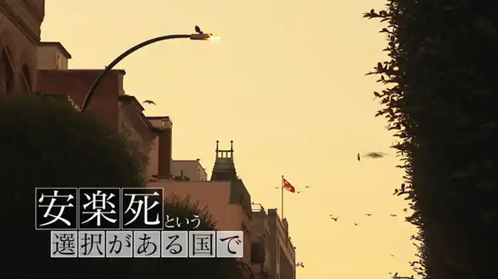 安楽死という選択がある国で