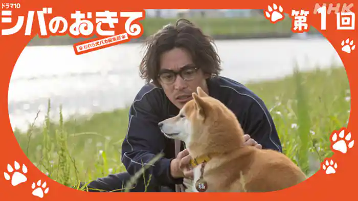 崖っぷちに柴犬あり！？