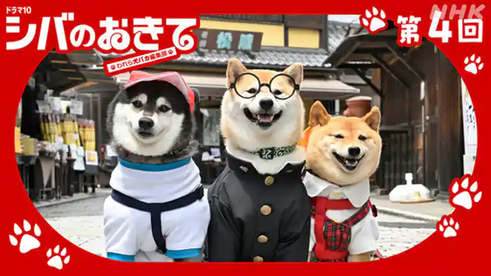 シバは、家族のかすがいか