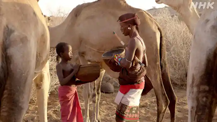 ~ケニア 遊牧民レンディーレ~