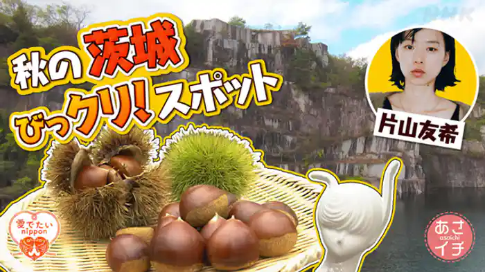 秋の茨城　超穴場スポット発見！／マイナ保険証使ってますか？