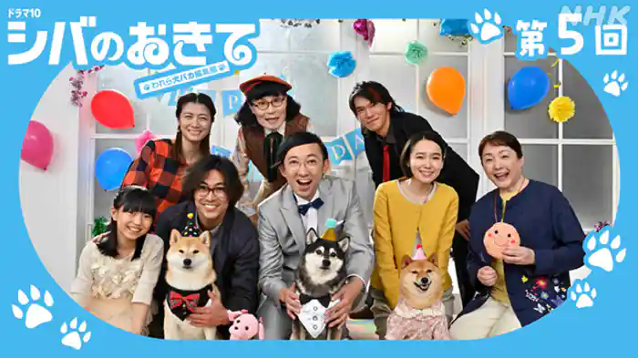 犬温泉より愛をこめて