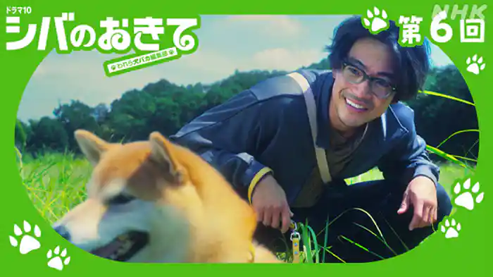 シバの振り見て、我が振り直せ