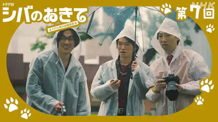 犬勘、シバ勘、第六感！？