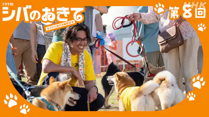 シバＯＮＥフェスだワン！